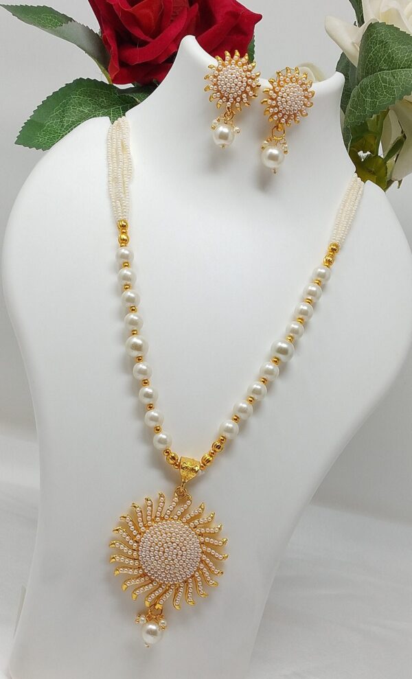 TRJS08100C.jpg TRJS08100C.jpg